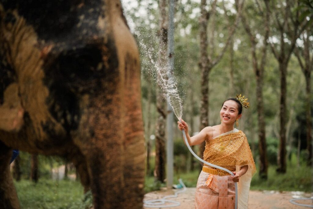 4in1 Program - Oasis Elephant Park Phuket